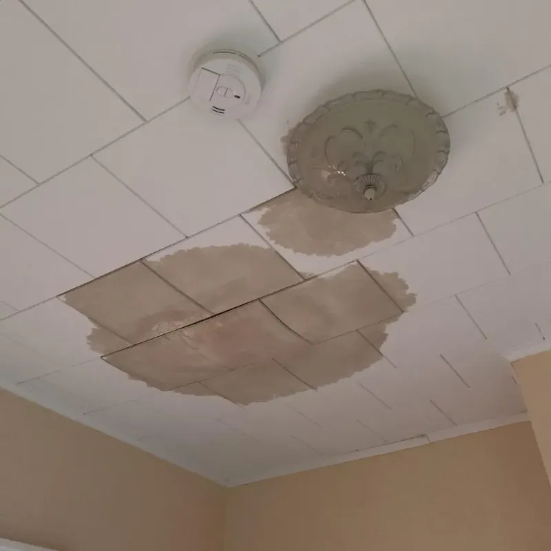 Ceiling Water Damage Repair in Halls, TN