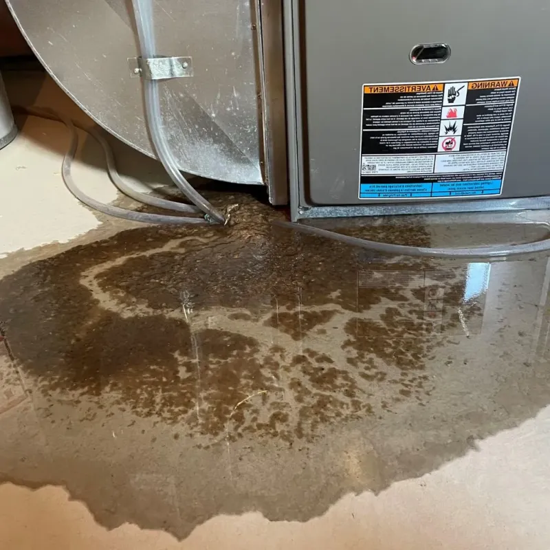 Pipe Burst and Leak Restoration in Halls, TN