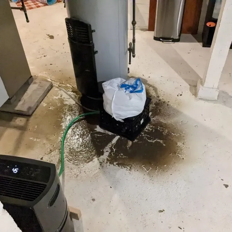 Sewage Backup Cleanup Service in Halls, TN